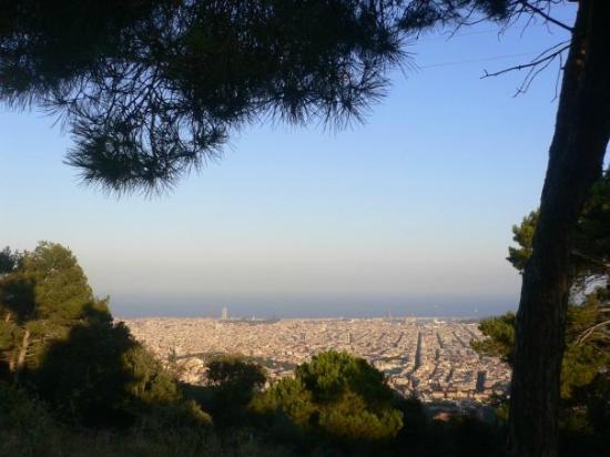 Collserola Natural Park